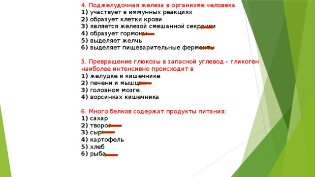 4. Поджелудочная железа в организме человека 1) участвует в иммунных реакциях 2) образует клетки крови 3) является железой смешанной секреции 4) образует гормоны 5) выделяет желчь 6) выделяет пищеварительные ферменты 5. Превращение глюкозы в запасной углевод – гликоген наиболее интенсивно происходит в 1) желудке и кишечнике 2) печени и мышцах 3) головном мозге 4) ворсинках кишечника 6. Много белков содержат продукты питания: 1) сахар 2) творог 3) сыр 4) картофель 5) хлеб 6) рыба 