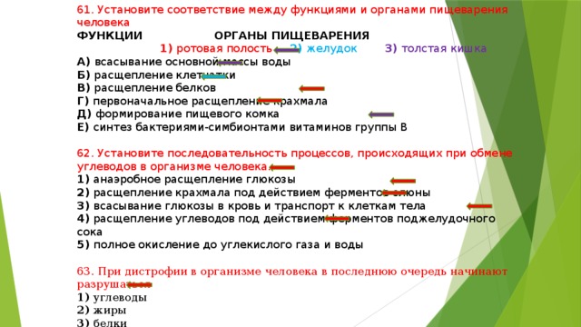 61. Установите соответствие между функциями и органами пищеварения человека ФУНКЦИИ ОРГАНЫ ПИЩЕВАРЕНИЯ  1) ротовая полость 2) желудок 3) толстая кишка А) всасывание основной массы воды Б) расщепление клетчатки В) расщепление белков Г) первоначальное расщепление крахмала Д) формирование пищевого комка Е) синтез бактериями-симбионтами витаминов группы В 62. Установите последовательность процессов, происходящих при обмене углеводов в организме человека. 1) анаэробное расщепление глюкозы 2) расщепление крахмала под действием ферментов слюны 3) всасывание глюкозы в кровь и транспорт к клеткам тела 4) расщепление углеводов под действием ферментов поджелудочного сока 5) полное окисление до углекислого газа и воды 63. При дистрофии в организме человека в последнюю очередь начинают разрушаться 1) углеводы 2) жиры 3) белки 4) полисахариды 