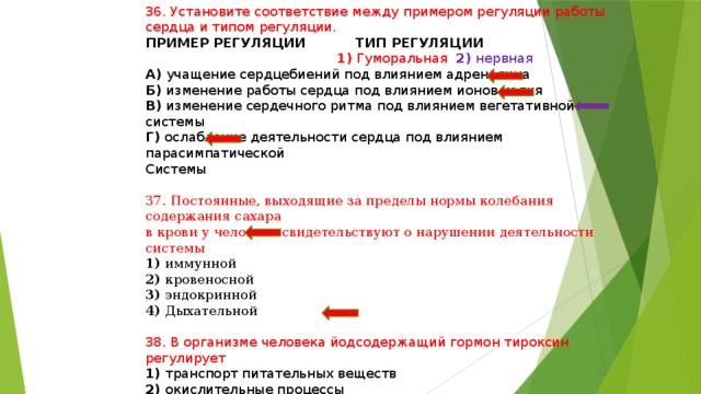 36. Установите соответствие между примером регуляции работы сердца и типом регуляции. ПРИМЕР РЕГУЛЯЦИИ ТИП РЕГУЛЯЦИИ  1) Гуморальная 2) нервная А) учащение сердцебиений под влиянием адреналина Б) изменение работы сердца под влиянием ионов калия В) изменение сердечного ритма под влиянием вегетативной системы Г) ослабление деятельности сердца под влиянием парасимпатической Системы 37. Постоянные, выходящие за пределы нормы колебания содержания сахара в крови у человека свидетельствуют о нарушении деятельности системы 1) иммунной 2) кровеносной 3) эндокринной 4) Дыхательной 38. В организме человека йодсодержащий гормон тироксин регулирует 1) транспорт питательных веществ 2) окислительные процессы 3) образование ферментов 4) синтез полимеров из мономеров 