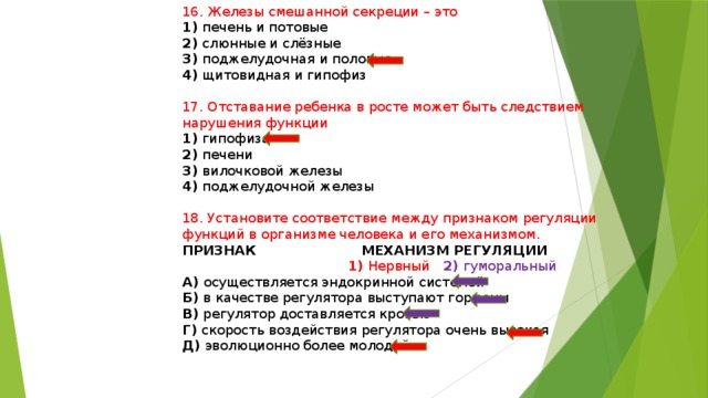 16. Железы смешанной секреции – это 1) печень и потовые 2) слюнные и слёзные 3) поджелудочная и половые 4) щитовидная и гипофиз 17. Отставание ребенка в росте может быть следствием нарушения функции 1) гипофиза 2) печени 3) вилочковой железы 4) поджелудочной железы 18. Установите соответствие между признаком регуляции функций в организме человека и его механизмом. ПРИЗНАК МЕХАНИЗМ РЕГУЛЯЦИИ  1) Нервный 2) гуморальный А) осуществляется эндокринной системой Б) в качестве регулятора выступают гормоны В) регулятор доставляется кровью Г) скорость воздействия регулятора очень высокая Д) эволюционно более молодой 