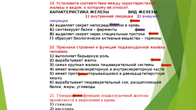 19. Установите соответствие между характеристикой железы и видом, к которому её относят. ХАРАКТЕРИСТИКА ЖЕЛЕЗЫ ВИД ЖЕЛЕЗЫ  1) внутренней секреции 2) внешней секреции А) выделяет секрет непосредственно в кровь Б) синтезирует белки – ферменты В) выделяет секрет через специальные протоки Г) образует биологически активные вещества – гормоны 20. Признаки строения и функций поджелудочной железы человека: 1) выполняет барьерную роль 2) вырабатывает желчь 3) самая крупная железа пищеварительной системы 4) имеет внешнесекреторную и внутрисекреторную части 5) имеет протоки, открывающиеся в двенадцатиперстную кишку 6) вырабатывает пищеварительный сок, расщепляющий белки, жиры, углеводы 21. Гуморальная функция поджелудочной железы проявляется в выделении в кровь 1) глюкозы 2) инсулина 3) адреналина 4) тироксина 