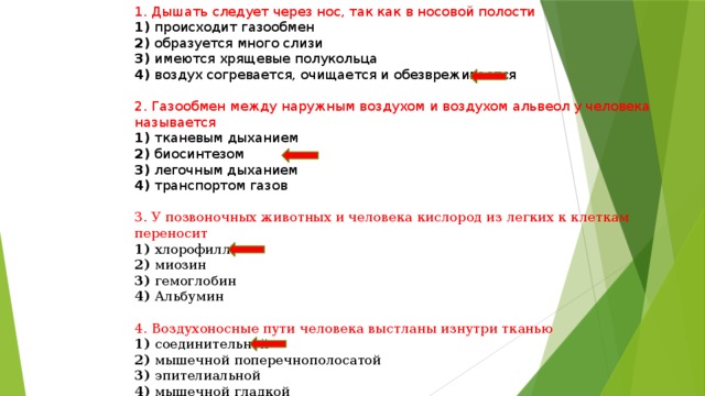 1. Дышать следует через нос, так как в носовой полости 1) происходит газообмен 2) образуется много слизи 3) имеются хрящевые полукольца 4) воздух согревается, очищается и обезвреживается 2. Газообмен между наружным воздухом и воздухом альвеол у человека называется 1) тканевым дыханием 2) биосинтезом 3) легочным дыханием 4) транспортом газов 3. У позвоночных животных и человека кислород из легких к клеткам переносит 1) хлорофилл 2) миозин 3) гемоглобин 4) Альбумин 4. Воздухоносные пути человека выстланы изнутри тканью 1) соединительной 2) мышечной поперечнополосатой 3) эпителиальной 4) мышечной гладкой 