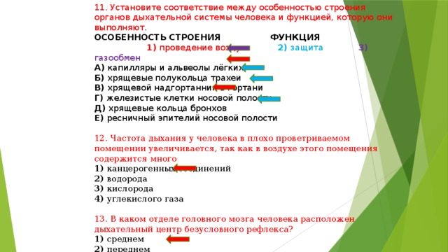 11. Установите соответствие между особенностью строения органов дыхательной системы человека и функцией, которую они выполняют. ОСОБЕННОСТЬ СТРОЕНИЯ ФУНКЦИЯ  1) проведение воздуха 2) защита 3) газообмен А) капилляры и альвеолы лёгких Б) хрящевые полукольца трахеи В) хрящевой надгортанник в гортани Г) железистые клетки носовой полости Д) хрящевые кольца бронхов Е) ресничный эпителий носовой полости 12. Частота дыхания у человека в плохо проветриваемом помещении увеличивается, так как в воздухе этого помещения содержится много 1) канцерогенных соединений 2) водорода 3) кислорода 4) углекислого газа 13. В каком отделе головного мозга человека расположен дыхательный центр безусловного рефлекса? 1) среднем 2) переднем 3) мозжечке 4) продолговатом 