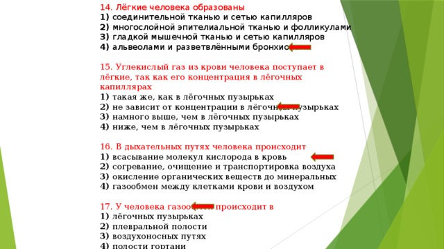 14. Лёгкие человека образованы 1) соединительной тканью и сетью капилляров 2) многослойной эпителиальной тканью и фолликулами 3) гладкой мышечной тканью и сетью капилляров 4) альвеолами и разветвлёнными бронхиолами 15. Углекислый газ из крови человека поступает в лёгкие, так как его концентрация в лёгочных капиллярах 1) такая же, как в лёгочных пузырьках 2) не зависит от концентрации в лёгочных пузырьках 3) намного выше, чем в лёгочных пузырьках 4) ниже, чем в лёгочных пузырьках 16. В дыхательных путях человека происходит 1) всасывание молекул кислорода в кровь 2) согревание, очищение и транспортировка воздуха 3) окисление органических веществ до минеральных 4) газообмен между клетками крови и воздухом 17. У человека газообмен происходит в 1) лёгочных пузырьках 2) плевральной полости 3) воздухоносных путях 4) полости гортани 