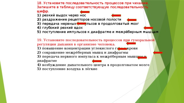 18. Установите последовательность процессов при чихании. Запишите в таблицу соответствующую последовательность цифр . 1) резкий выдох через нос 2) раздражение рецепторов носовой полости 3) передача нервных импульсов в продолговатый мозг 4) глубокий резкий вдох 5) поступление импульсов к диафрагме и межрёберным мышцам 19. Установите последовательность процессов при гуморальной регуляции дыхания в организме человека. 1) повышение концентрации углекислого газа в крови 2) сокращение межрёберных мышц и диафрагмы 3) передача нервного импульса к межрёберным мышцам и диафрагме 4) возбуждение дыхательного центра в продолговатом мозге 5) поступление воздуха в лёгкие 