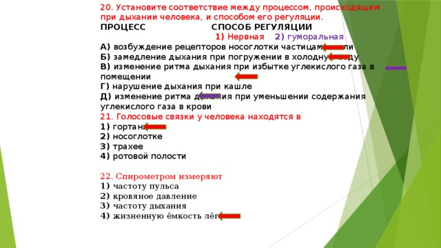 20. Установите соответствие между процессом, происходящим при дыхании человека, и способом его регуляции. ПРОЦЕСС СПОСОБ РЕГУЛЯЦИИ   1) Нервная 2) гуморальная А) возбуждение рецепторов носоглотки частицами пыли Б) замедление дыхания при погружении в холодную воду В) изменение ритма дыхания при избытке углекислого газа в помещении Г) нарушение дыхания при кашле Д) изменение ритма дыхания при уменьшении содержания углекислого газа в крови 21. Голосовые связки у человека находятся в 1) гортани 2) носоглотке 3) трахее 4) ротовой полости 22. Спирометром измеряют 1) частоту пульса 2) кровяное давление 3) частоту дыхания 4) жизненную ёмкость лёгких 