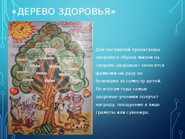 «ДЕРЕВО ЗДОРОВЬЯ» Для наглядной пропаганды здорового образа жизни на «дерево здоровья» заносятся фамилии ни разу не болевших за семестр детей. По итогам года самые здоровые ученики получат награду, поощрение в виде грамоты или сувенира. 