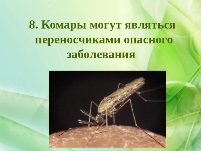 8. Комары могут являться переносчиками опасного заболевания  