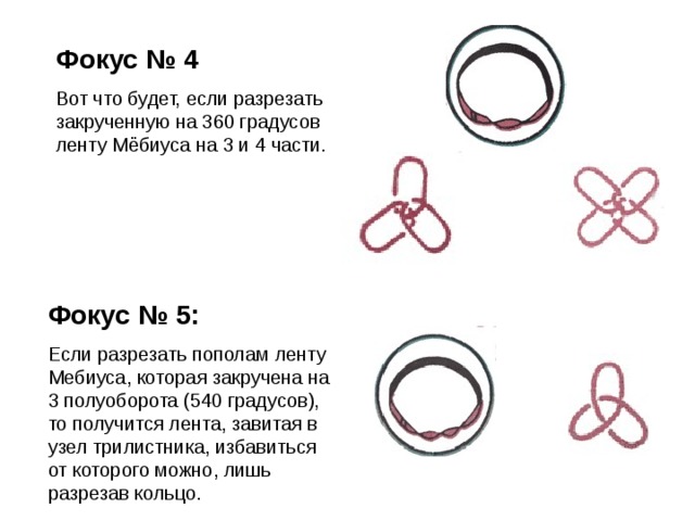 Число полуоборотов результат разрезания свойства рисунок