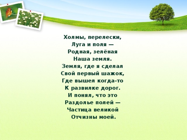 Презентация леса и луга нашей родины занятие в старшей группе соломенникова