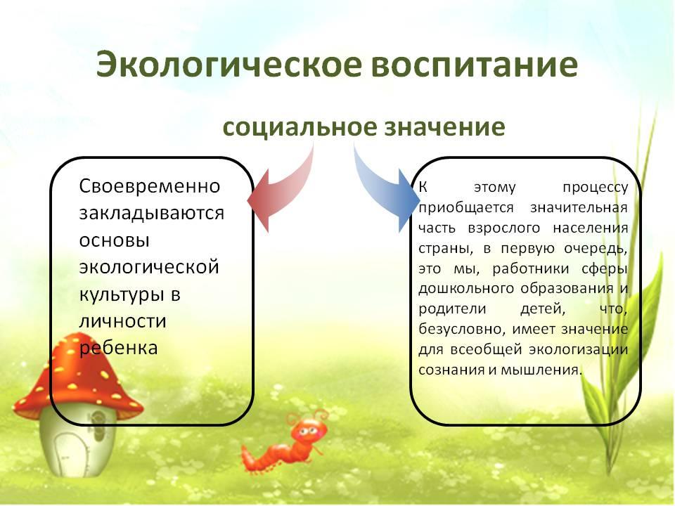 Проект экологическое воспитание дошкольников