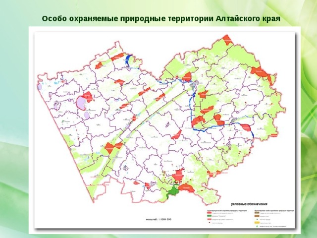 Карта оопт алтайского края