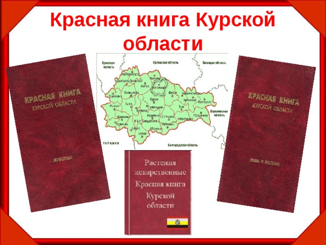 Растения занесенные в красную книгу курской области фото и описание