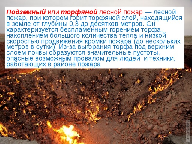 Подземный или торфяной лесной пожар — лесной пожар, при котором горит торфяной слой, находящийся в земле от глубины 0,3 до десятков метров. Он характеризуется беспламенным горением торфа, накоплением большого количества тепла и низкой скоростью продвижения кромки пожара (до нескольких метров в сутки). Из-за выгорания торфа под верхним слоем почвы образуются значительные пустоты, опасные возможным провалом для людей и техники, работающих в районе пожара 