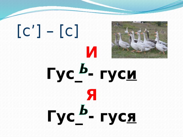  [c’] – [c]  И Гус_ - гус и Я Гус_ - гус я 