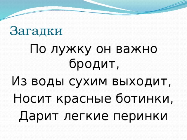 Загадки По лужку он важно бродит, Из воды сухим выходит, Носит красные ботинки, Дарит легкие перинки 