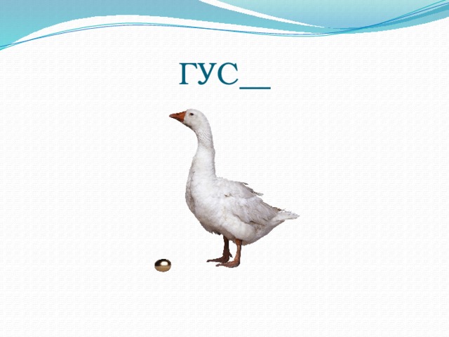 ГУС__ 
