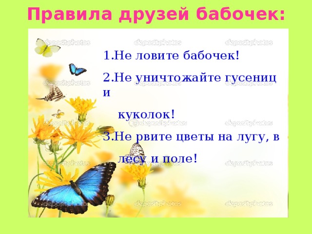 Каких бабочек нельзя увидеть днем на лугу. Берегите бабочек. Почему нельзя ловить бабочек. Плакат нельзя ловить бабочек. Девиз про бабочек.