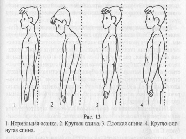 Правила правильной посадки за партой