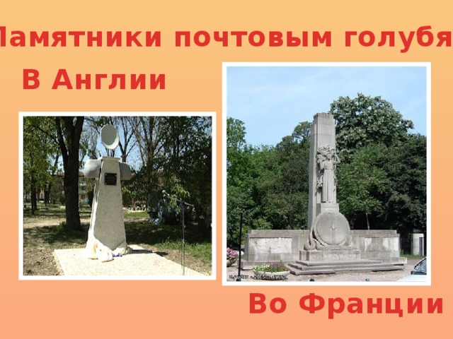 Памятник голубке уинки в лондоне