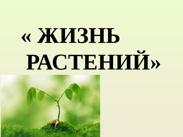 Окружающий мир 1 класс как живут растения презентация