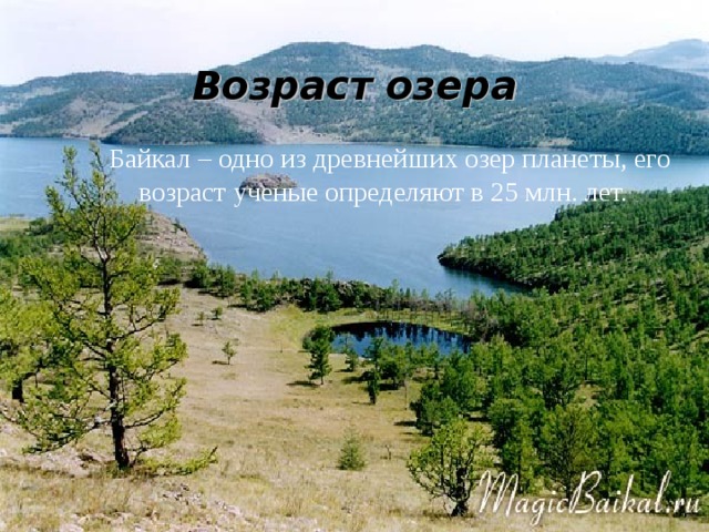 Возраст озера   Байкал – одно из древнейших озер планеты, его возраст ученые определяют в 25 млн. лет. 