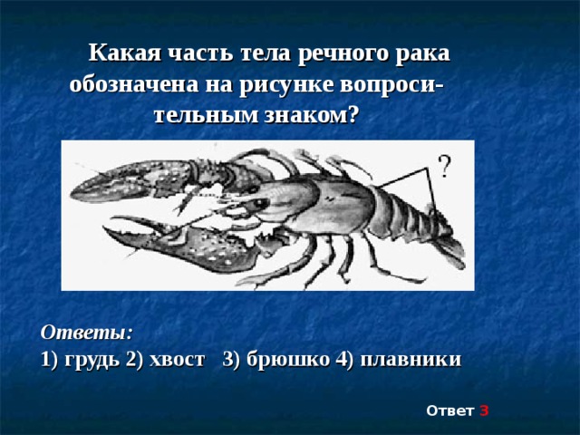 Какая часть тела речного рака обозначена на рисунке вопросительным знаком