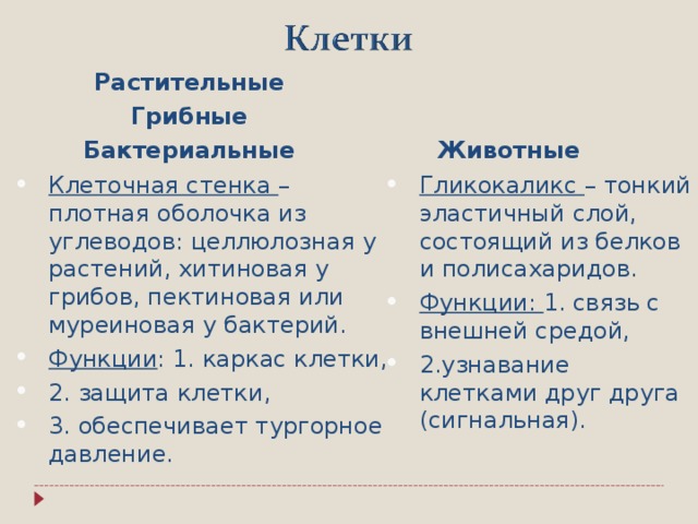 Растительные Грибные Бактериальные Животные Клеточная стенка – плотная оболочка из углеводов: целлюлозная у растений, хитиновая у грибов, пектиновая или муреиновая у бактерий. Функции : 1. каркас клетки, 2. защита клетки, 3. обеспечивает тургорное давление. Гликокаликс – тонкий эластичный слой, состоящий из белков и полисахаридов. Функции: 1. связь с внешней средой, 2.узнавание клетками друг друга (сигнальная).  