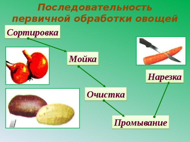 Последовательность первичной обработки овощей Сортировка Мойка Нарезка Очистка Промывание 