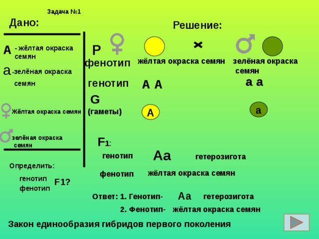 Задачи по биологии на группу крови. Как найти генотип в задачах. Алгоритм решения задач по биологии. Фенотип и генотип в задачах на генетику. Алгоритм решения задач по биологии 9 класс.