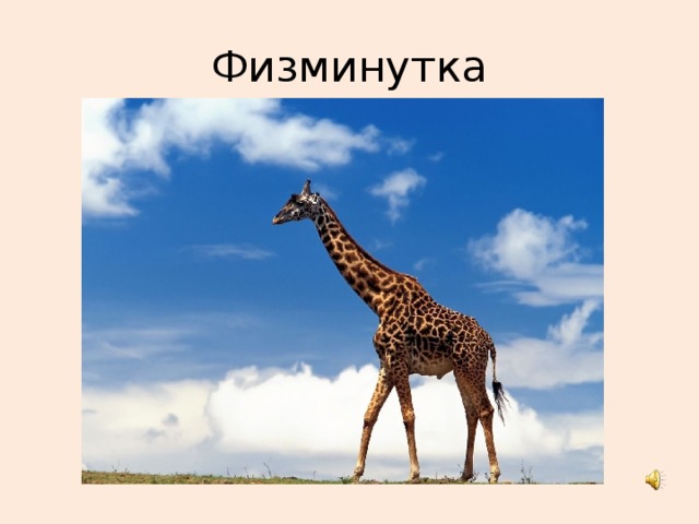 Физминутка 