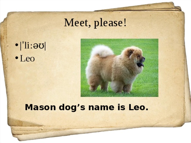 Meet, please! |ˈliːəʊ| Leo Mason dog’s name is Leo. 