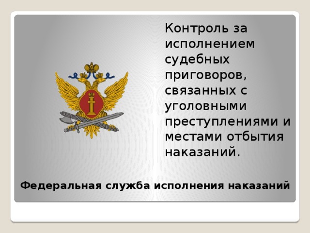 Контроль за исполнением судебных приговоров, связанных с уголовными преступлениями и местами отбытия наказаний. Федеральная служба исполнения наказаний