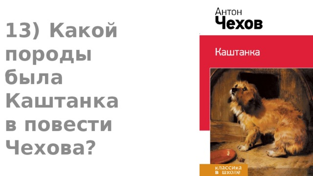 Пес из породы хранителей аудиокнига слушать. Порода собаки каштанка Чехова. Какой породы была каштанка.