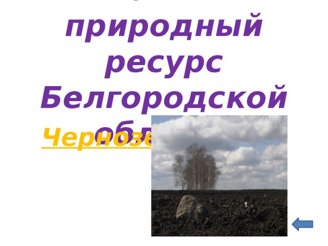 Главный природный ресурс Белгородской области    Чернозем 