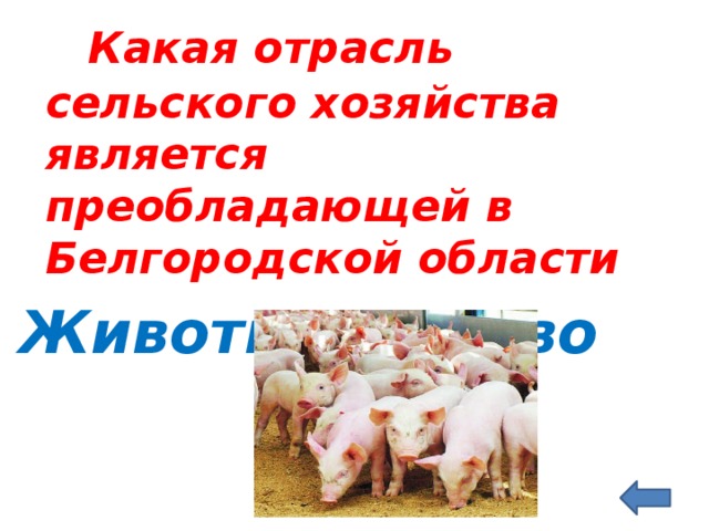   Какая отрасль сельского хозяйства является преобладающей в Белгородской области Животноводство 