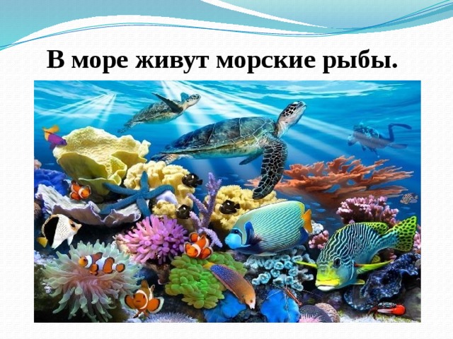  В море живут морские рыбы. 