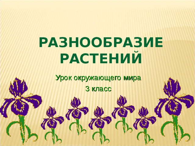 Тема урока растения