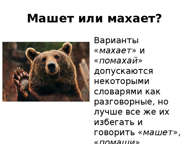 Машущий или машащий