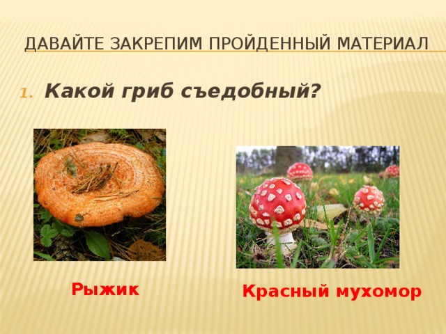 Давайте закрепим пройденный материал Какой гриб съедобный? Рыжик Красный мухомор 