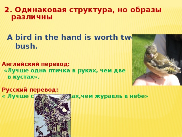 Bird перевод на русский. Bird перевод. A Bird in the Bush пословица. Английские пословицы про птиц. Лучше одна птичка в руках чем две в кустах русский эквивалент.