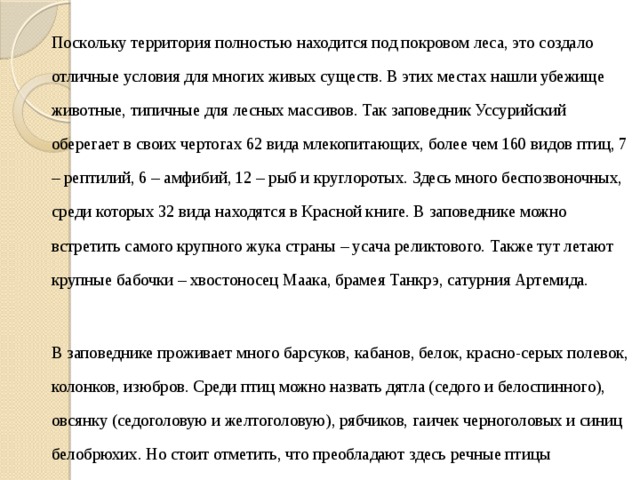   Поскольку территория полностью находится под покровом леса, это создало отличные условия для многих живых существ. В этих местах нашли убежище животные, типичные для лесных массивов. Так заповедник Уссурийский оберегает в своих чертогах 62 вида млекопитающих, более чем 160 видов птиц, 7 – рептилий, 6 – амфибий, 12 – рыб и круглоротых. Здесь много беспозвоночных, среди которых 32 вида находятся в Красной книге. В заповеднике можно встретить самого крупного жука страны – усача реликтового. Также тут летают крупные бабочки – хвостоносец Маака, брамея Танкрэ, сатурния Артемида.   В заповеднике проживает много барсуков, кабанов, белок, красно-серых полевок, колонков, изюбров. Среди птиц можно назвать дятла (седого и белоспинного), овсянку (седоголовую и желтоголовую), рябчиков, гаичек черноголовых и синиц белобрюхих. Но стоит отметить, что преобладают здесь речные птицы 