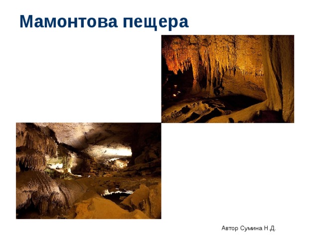 Мамонтова пещера Автор Сумина Н.Д. 