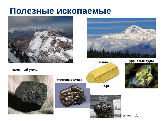 Полезные ископаемые урановые руды золото каменный уголь железные руды нефть Автор Сумина Н.Д. 