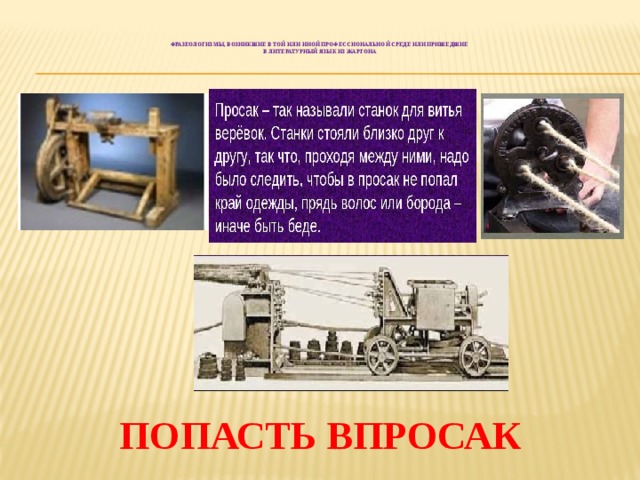 Попали в просак. Фразеологизм попасть впросак. Попасть впросак. Впросак станок. Попасть впросак значение фразеологизма.