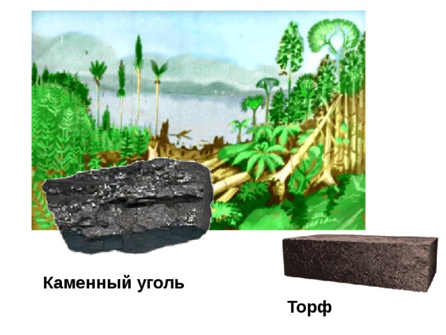 Каменный уголь Торф 