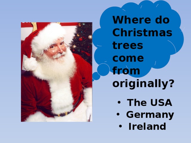 Where do Christmas trees come from originally? The USA Germany Ireland 