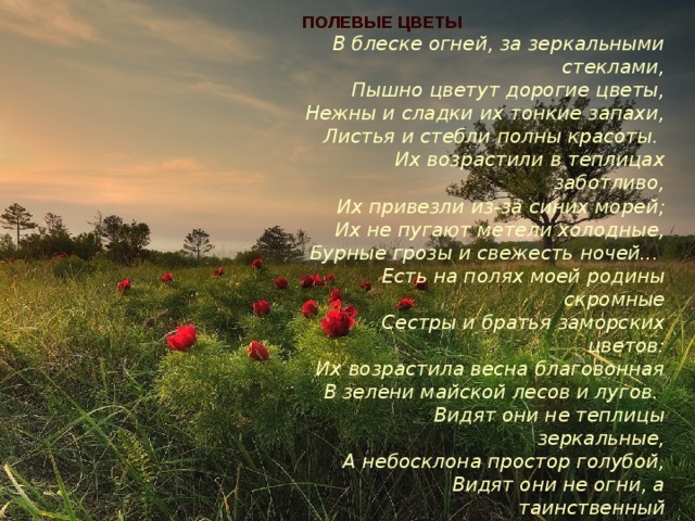 ПОЛЕВЫЕ ЦВЕТЫ   В блеске огней, за зеркальными стеклами,  Пышно цветут дорогие цветы,  Нежны и сладки их тонкие запахи,  Листья и стебли полны красоты.   Их возрастили в теплицах заботливо,  Их привезли из-за синих морей;  Их не пугают метели холодные,  Бурные грозы и свежесть ночей...   Есть на полях моей родины скромные  Сестры и братья заморских цветов:  Их возрастила весна благовонная  В зелени майской лесов и лугов.   Видят они не теплицы зеркальные,  А небосклона простор голубой,  Видят они не огни, а таинственный  Вечных созвездий узор золотой.   Веет от них красотою стыдливою,  Сердцу и взору родные они  И говорят про давно позабытые  Светлые дни.  Иван Бунин 