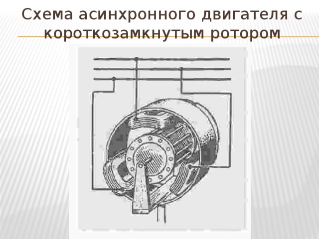 Схема асинхронной машины с короткозамкнутым ротором