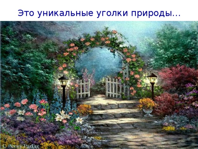 Это уникальные уголки природы… 